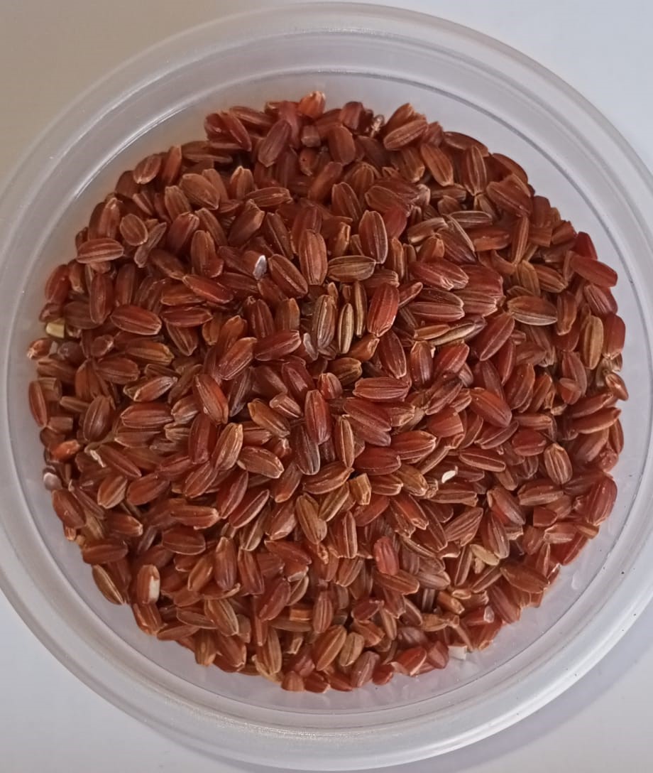 navara-rice.jpg